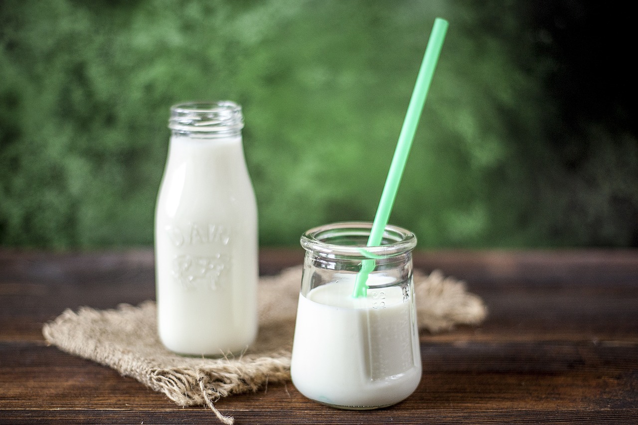 mliečne produkty sú významný zdroj bielkovín