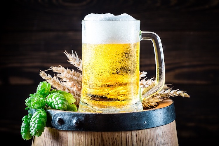pivo