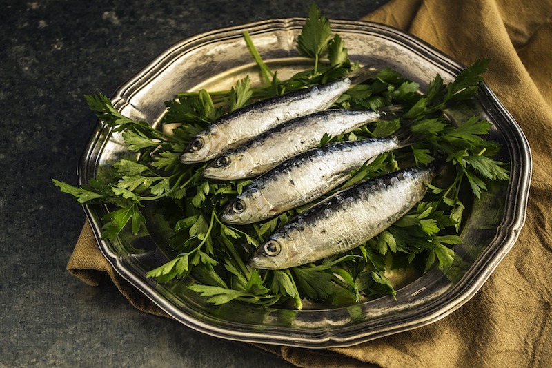 sardinky