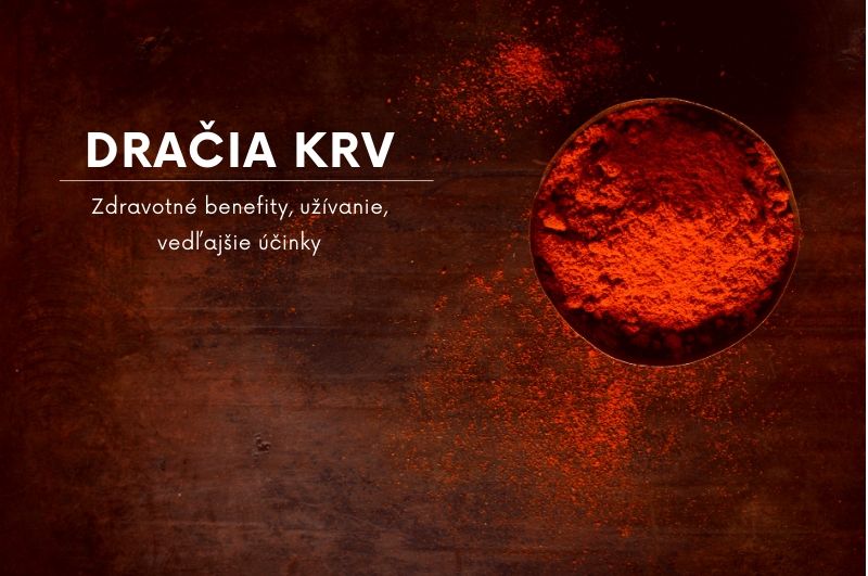 dračia krv