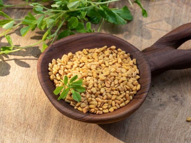 Semená Senovky gréckej sú bohaté na flavonoidy a stopové prvky, vďaka tomu pomáhajú uvoľňovať testosterón a podporujú rast svalovej hmoty.