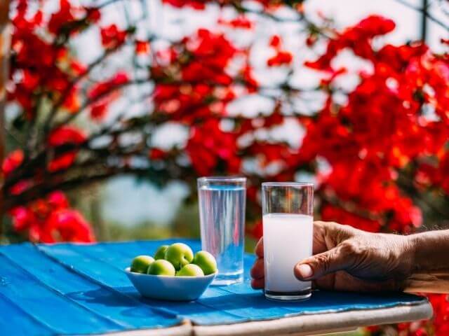 posedenie pri nápoji ouzo